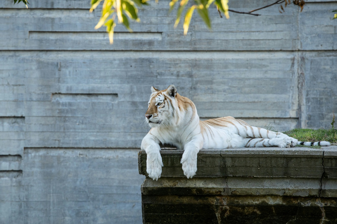 Bild für Der HKS Tierpark